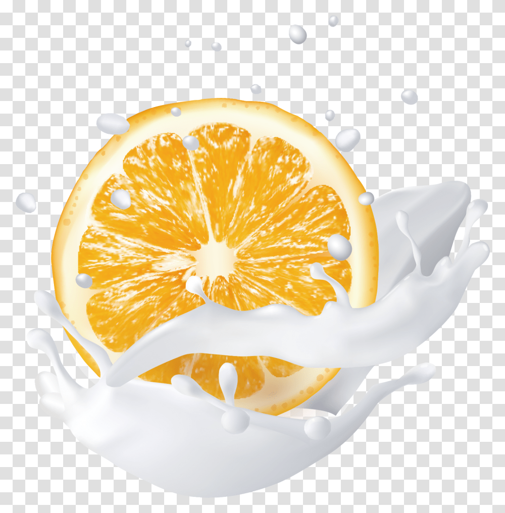 Milk Splash Orange Milk, Plant, Citrus Fruit, Food, Lemon Transparent Png