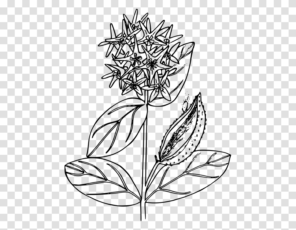 Milkweed Clipart Black And White, Gray, World Of Warcraft Transparent Png