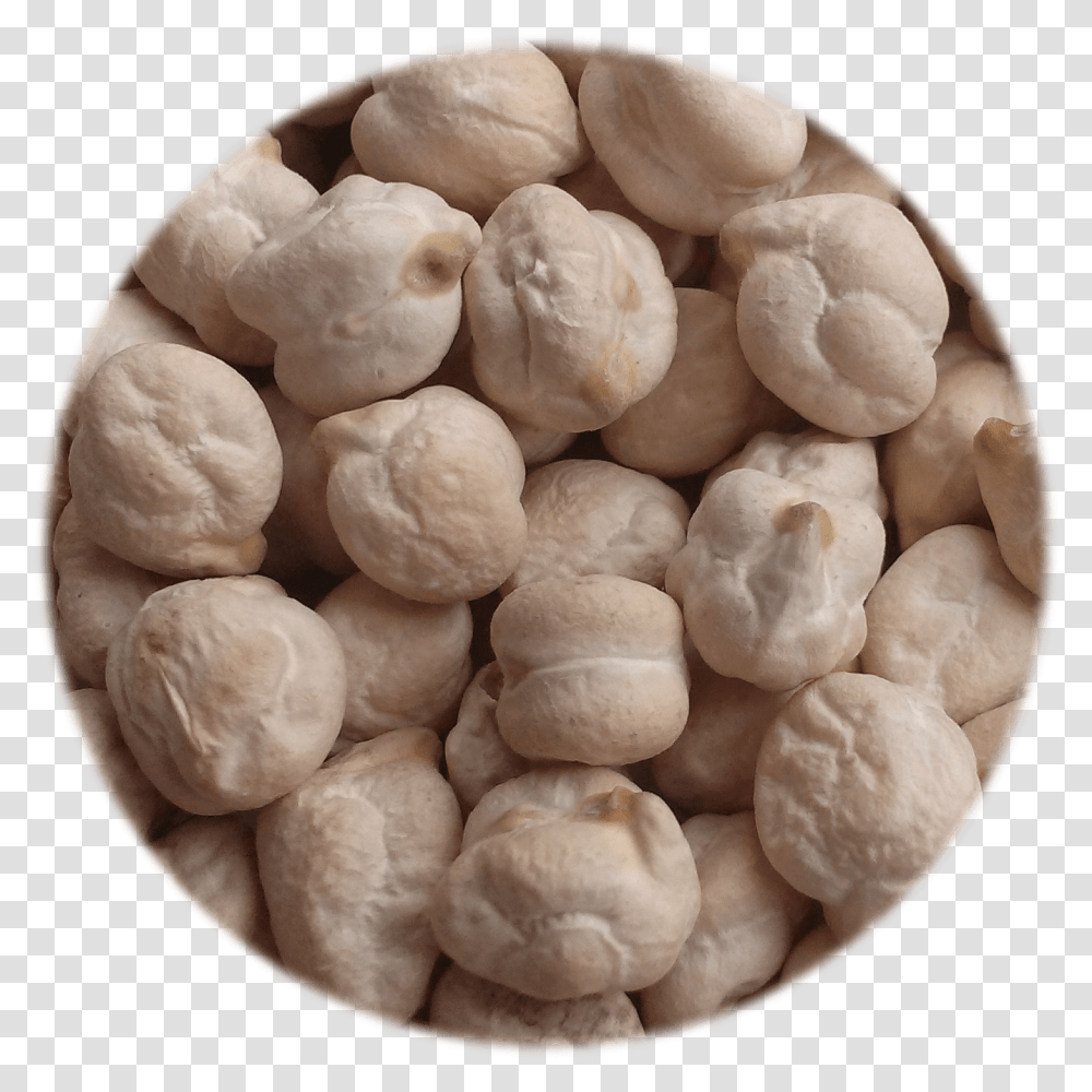 Milky White Chickpea Dessert, Sweets, Food, Confectionery, Pasta Transparent Png