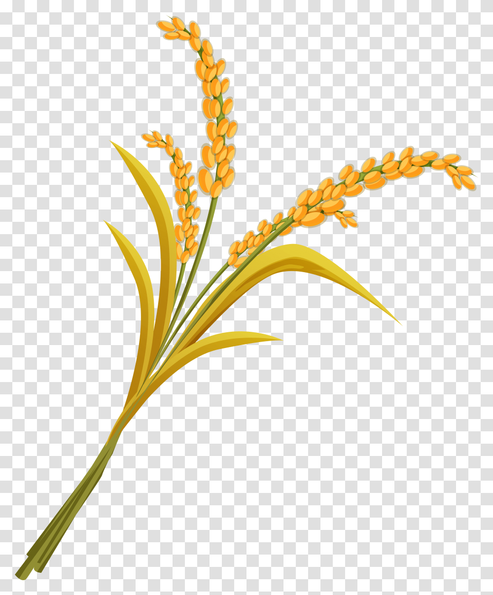 Millet Plant, Flower, Blossom, Anther, Acanthaceae Transparent Png