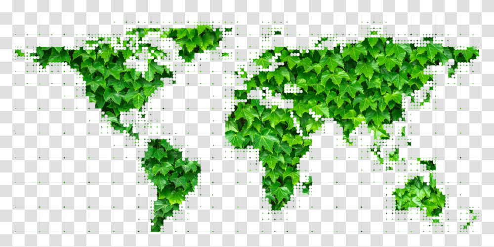Million For Energy Efficient Vehicles Big History World Zones, Green, Leaf, Plant, Vegetation Transparent Png