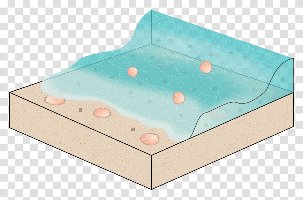 Million Years Ago Showing Sea Animals Buried In Wood, Plywood, Jacuzzi, Tub, Hot Tub Transparent Png