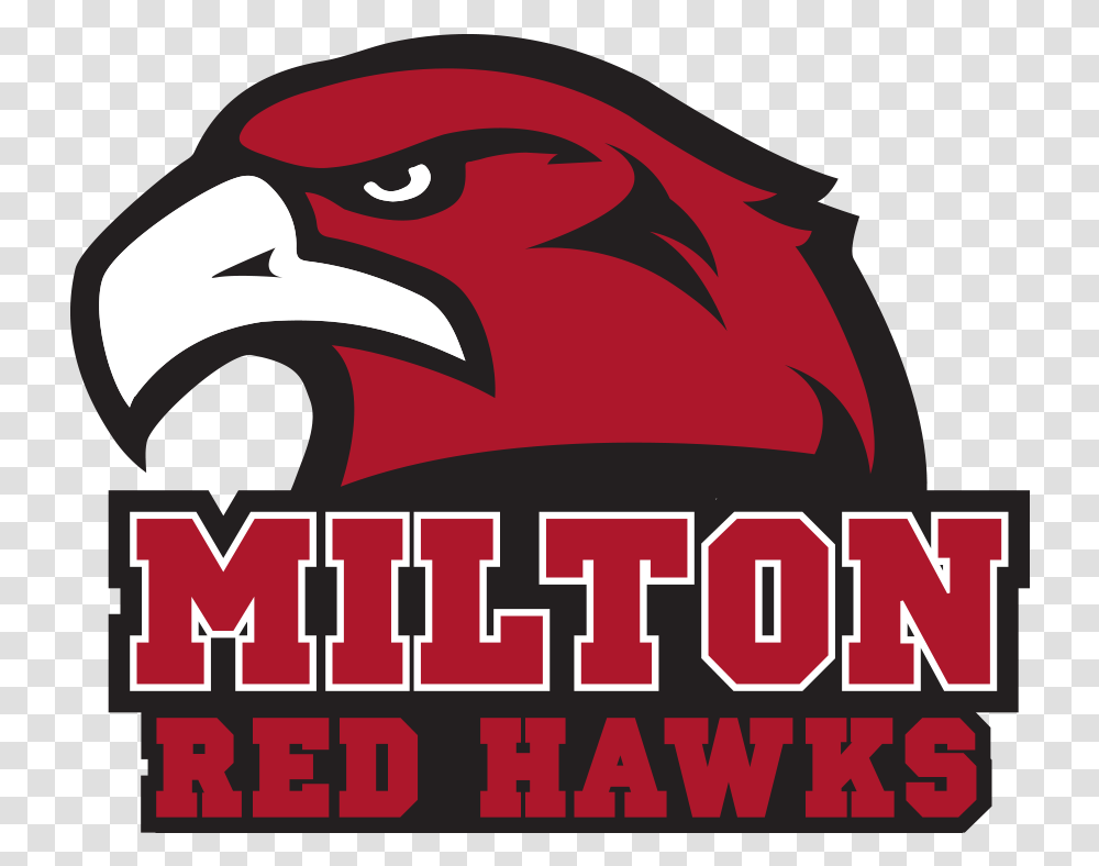 Milton High School Redhawks, Bird, Animal, Vulture Transparent Png
