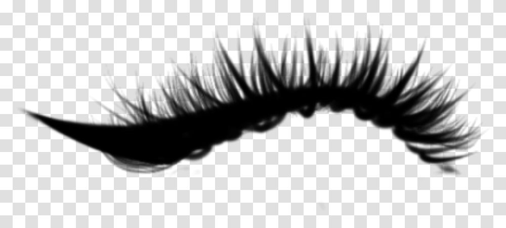 Mily Ciliosdeboneca Ciliosgrande Eyelashes Eyelash Extensions, Gray, World Of Warcraft Transparent Png