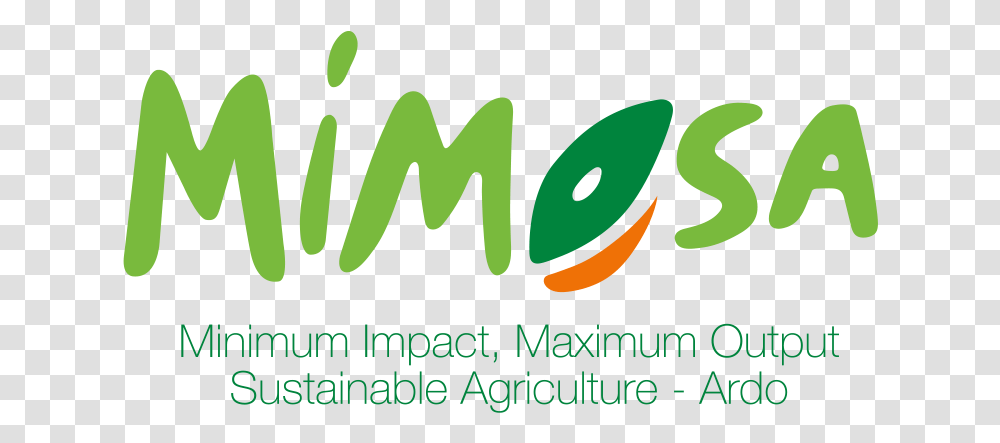 Mimosa Ardo, Word, Logo Transparent Png