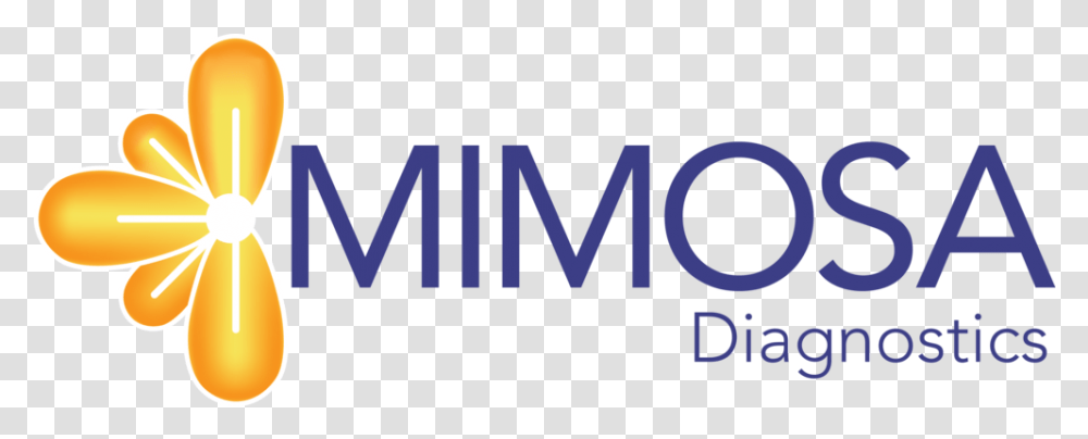 Mimosa Diagnostics Circle, Word, Alphabet, Text, Label Transparent Png