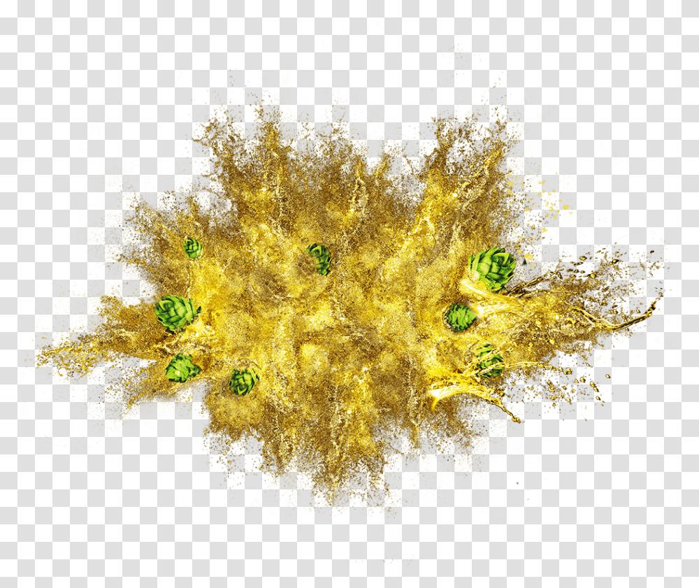 Mimosa, Ornament, Pattern, Fractal, Plant Transparent Png