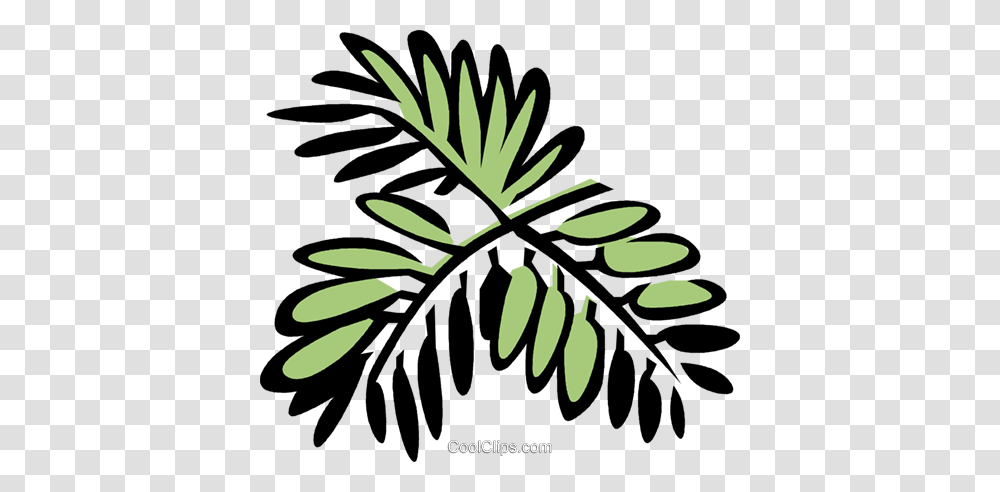 Mimosa Royalty Free Vector Clip Art Illustration, Leaf, Plant, Green, Fern Transparent Png
