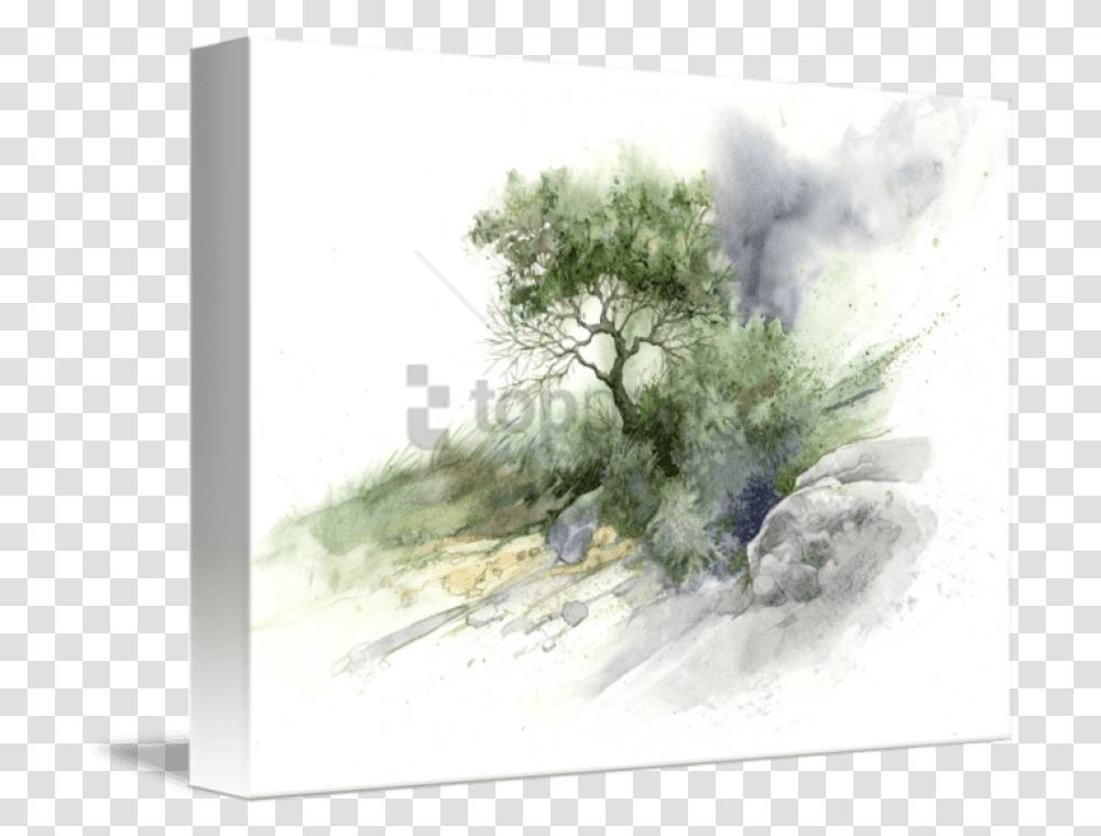 Mind Of Watercolor, Tree, Plant, Nature, Outdoors Transparent Png