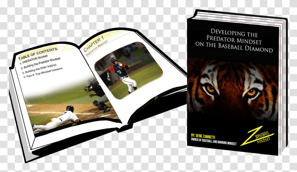 Mindset Baseball Diamond, Cat, Mammal, Animal, Person Transparent Png