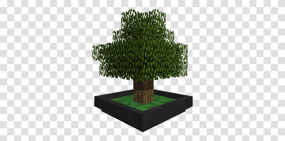 Minecraft Bonsai Bonsai Tree Minecraft, Plant, Vegetation, Sphere, Text Transparent Png