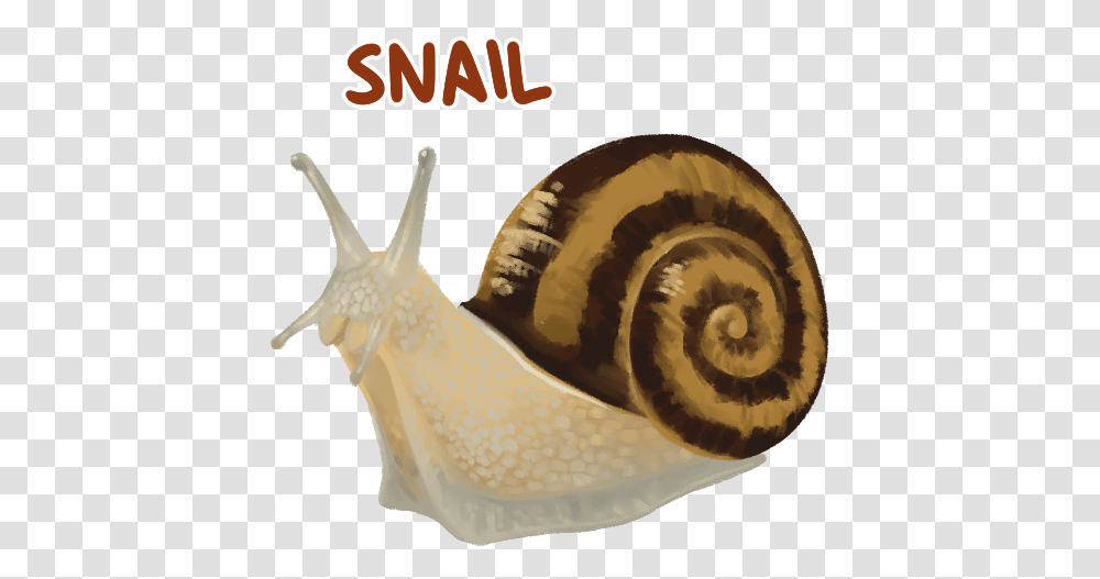 Minecraft, Snail, Invertebrate, Animal, Banana Transparent Png