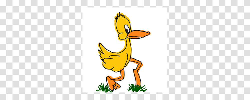 Mini Animal, Fowl, Bird, Poultry Transparent Png