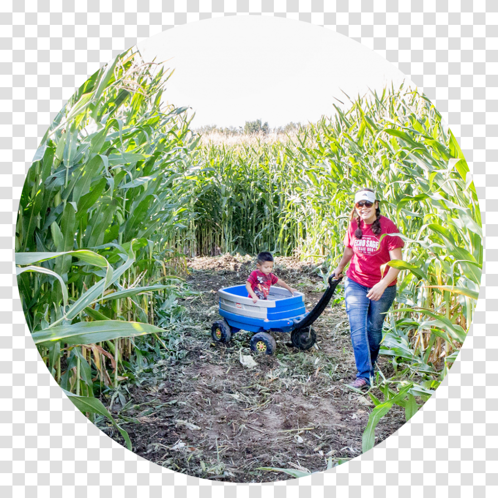 Mini Corn Maze, Person, Outdoors, Garden, Fisheye Transparent Png