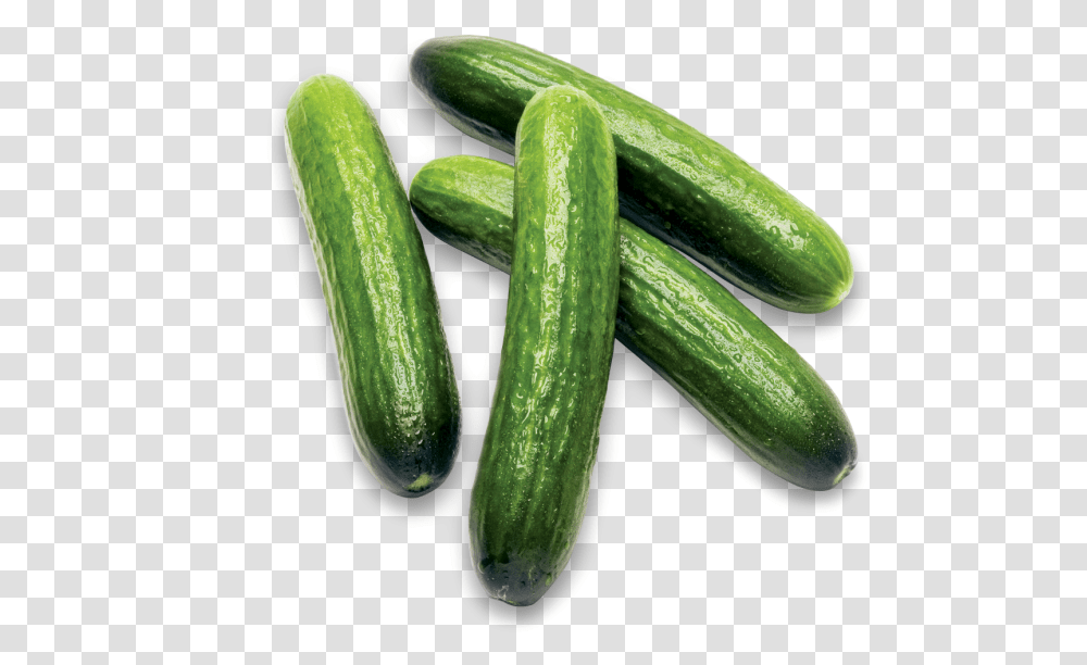Mini Cucumbers Cucumber, Plant, Vegetable, Food Transparent Png