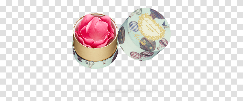 Mini Face Color Rose Laduree, Bowl, Plant, Porcelain, Pottery Transparent Png