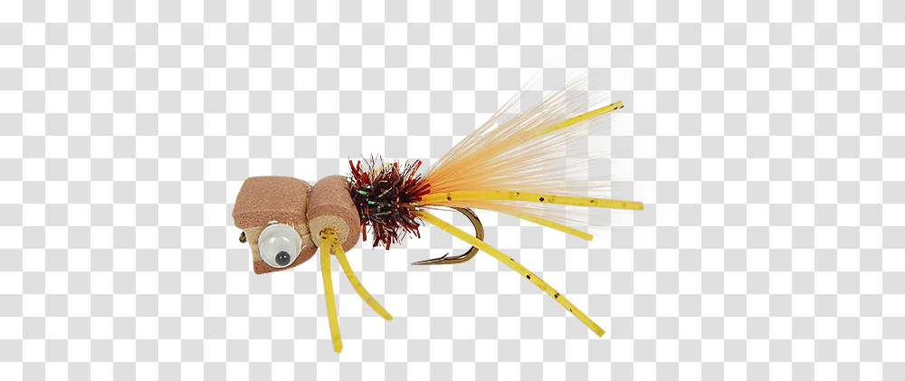 Mini Mad Scientist Brown Amp Tan, Plant, Wasp, Bee, Insect Transparent Png