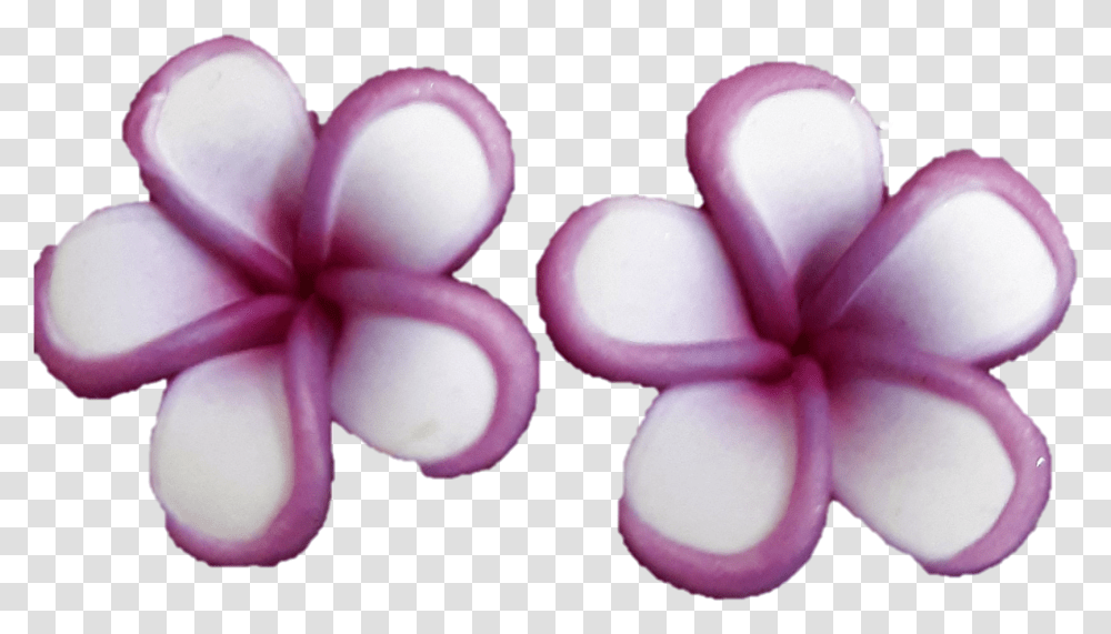 Mini Purple Rimmed Plumeria Earrings Frangipani, Petal, Flower, Plant, Iris Transparent Png