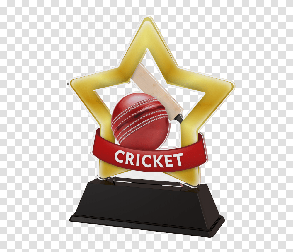 Mini Star Cricket Trophy Well Done Medal Transparent Png