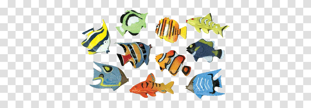 Mini Tropical Fish Animal Figure, Angelfish, Sea Life, Amphiprion, Rock Beauty Transparent Png