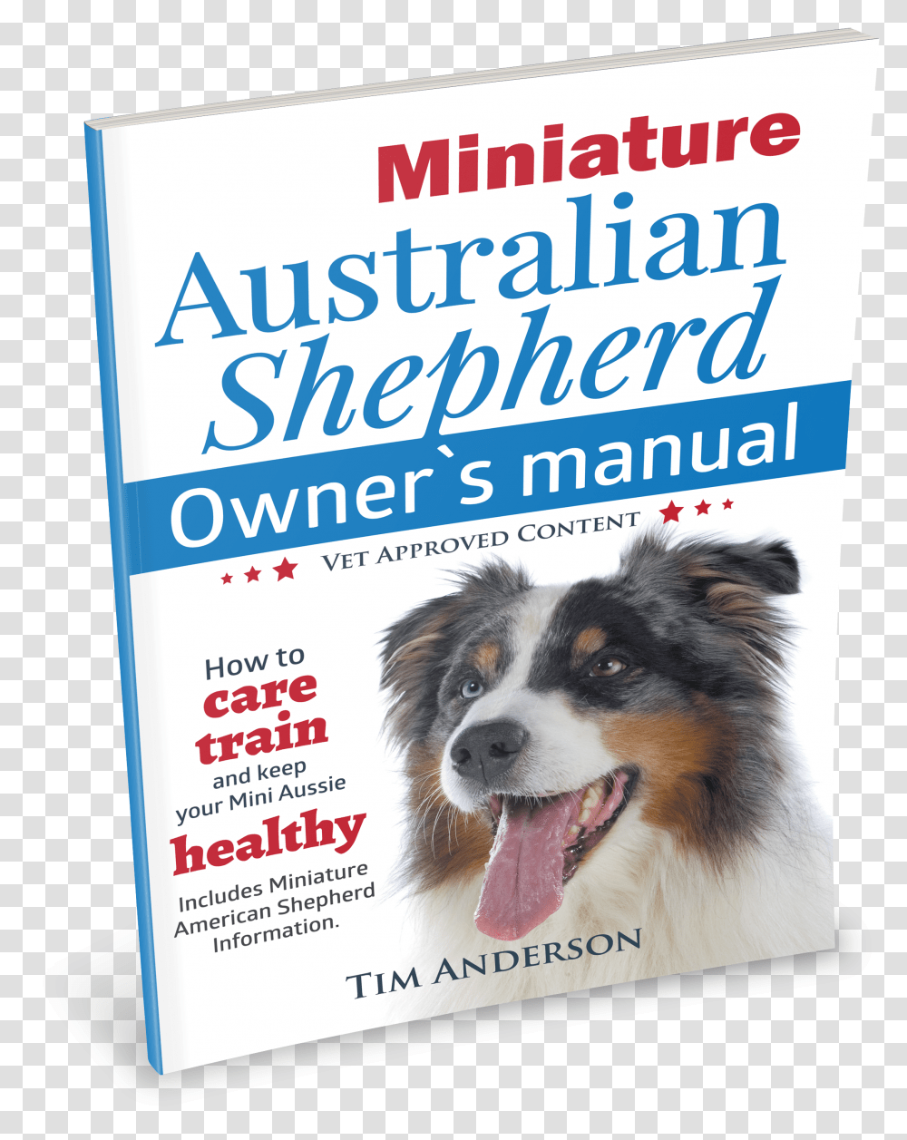 Miniature Australian Shepherd Owner S Manual Dog Catches Something, Poster, Advertisement, Flyer, Paper Transparent Png