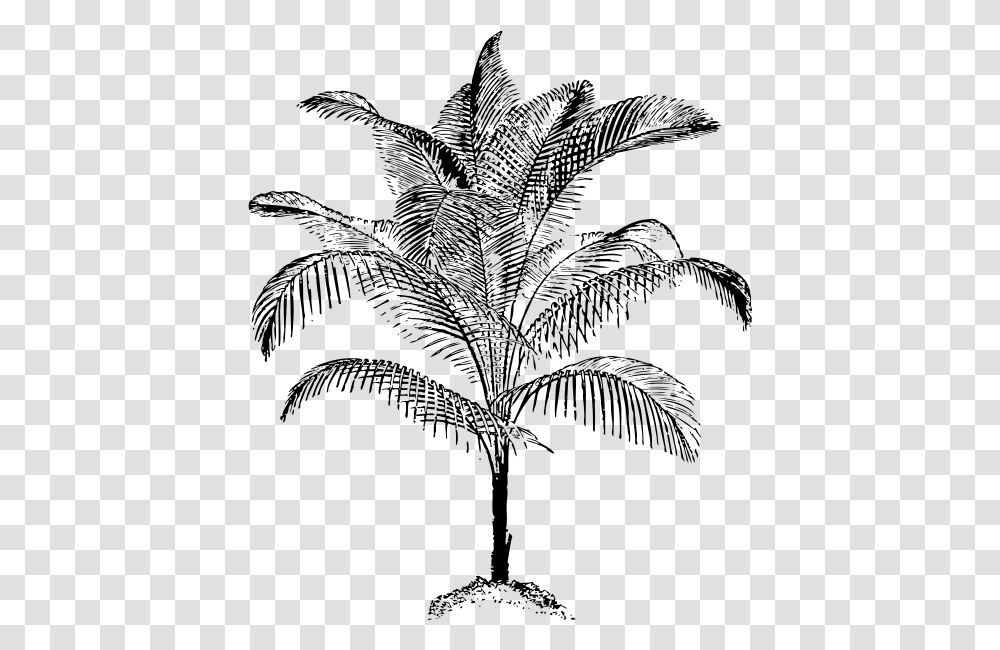 Miniature Coconut Palm Images Palm Vector, Gray, World Of Warcraft Transparent Png