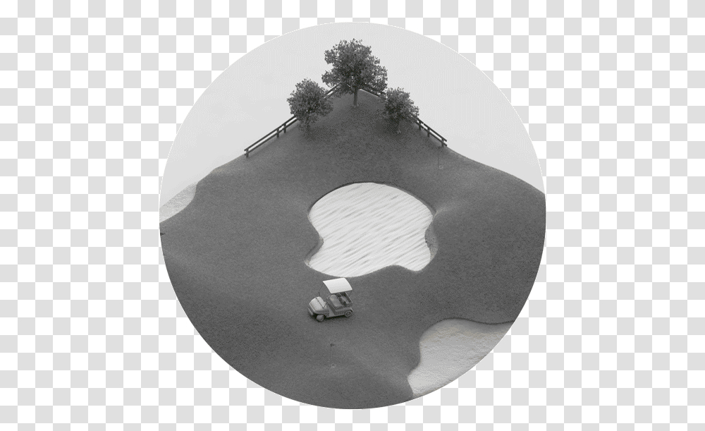 Miniature Playgrounds Palm Trees, Plant, Hole, Face, Photography Transparent Png