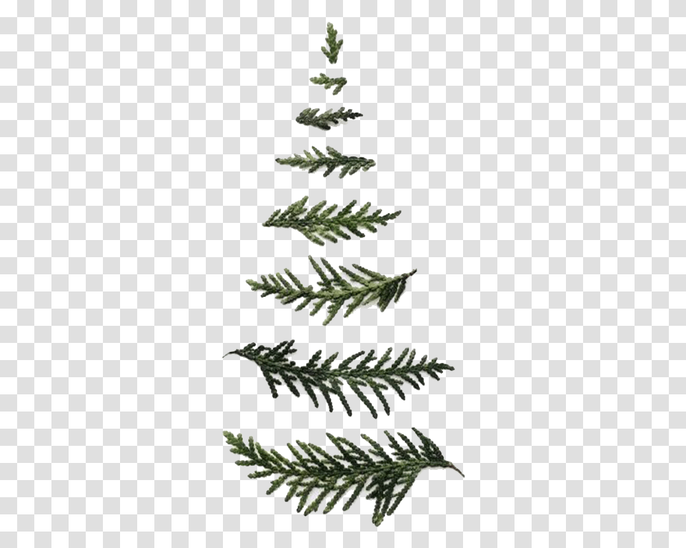 Minimalist Christmas Tree Minimalist Christmas Tree, Plant, Conifer, Grass, Flower Transparent Png