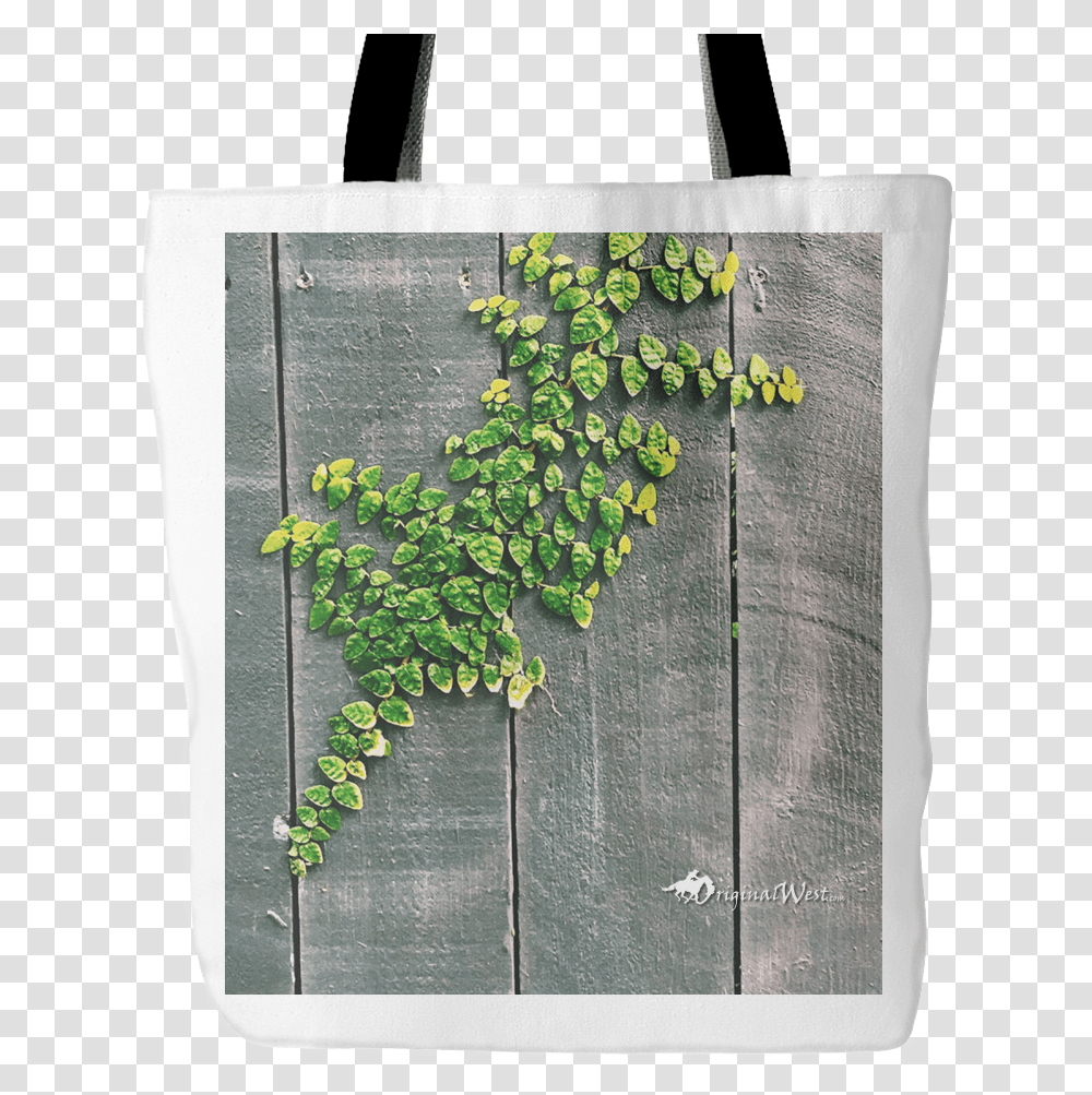 Minimalist Tree Photography Download Vine Growing On Wood Wall, Plant, Rug, Bag, Shopping Bag Transparent Png
