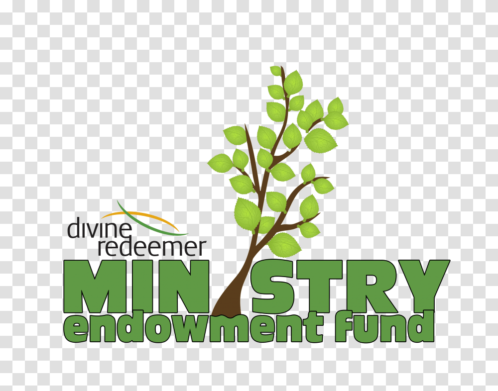 Ministry Endowment Fund Divine Redeemer Lutheran Church School, Plant, Tree, Advertisement Transparent Png
