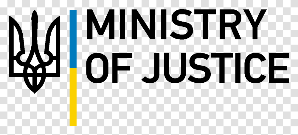 Ministry Of Justice Of Ukraine, Person, Human, Gray, World Of Warcraft Transparent Png