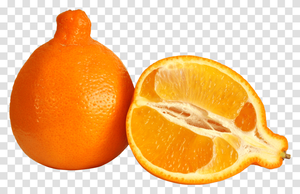 Minneola Orange Cartoons Tangerine Meaning In Urdu, Citrus Fruit, Plant, Food, Grapefruit Transparent Png