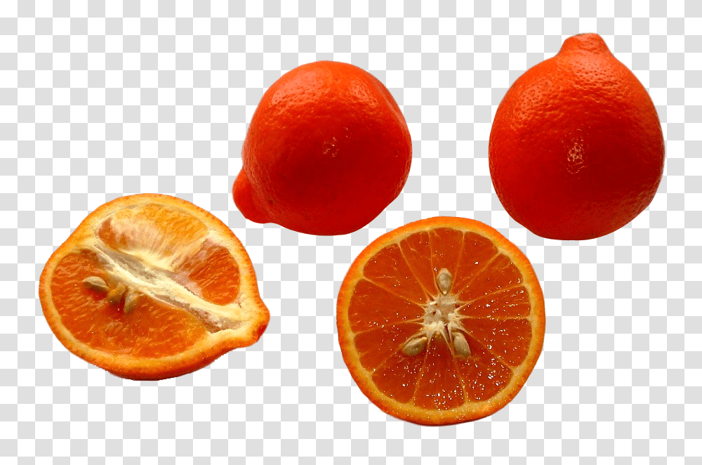 Minneola Tangelos Image, Fruit, Citrus Fruit, Plant, Food Transparent Png