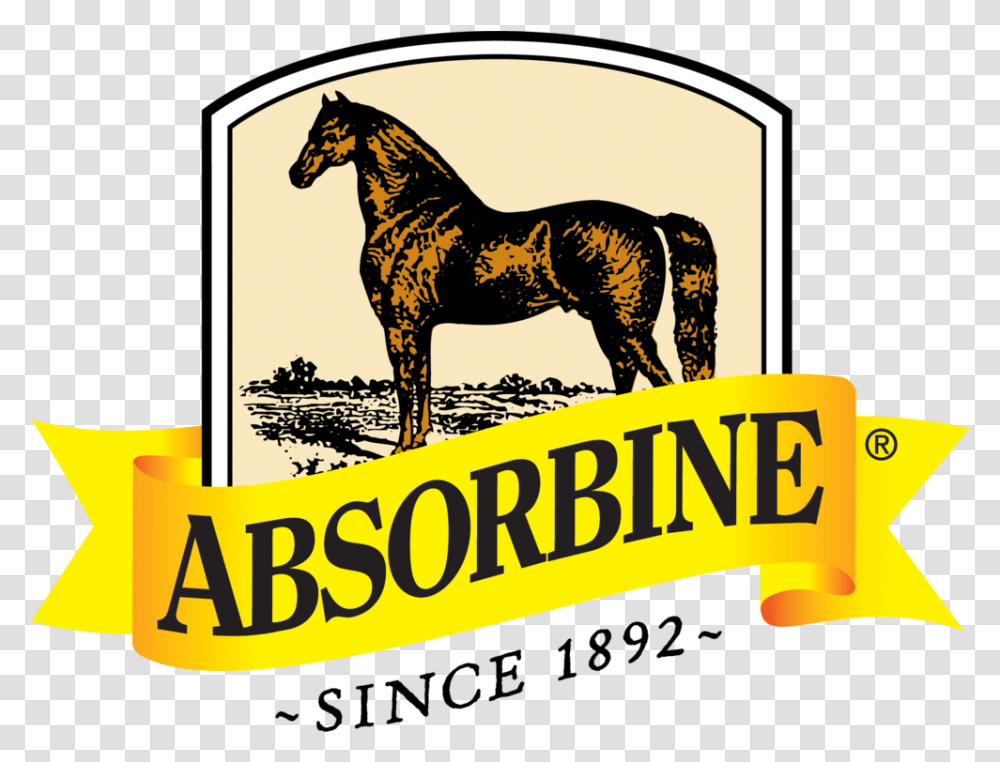 Minnesota Equestrian Sponsors Absorbine Logo, Horse, Mammal, Animal, Text Transparent Png