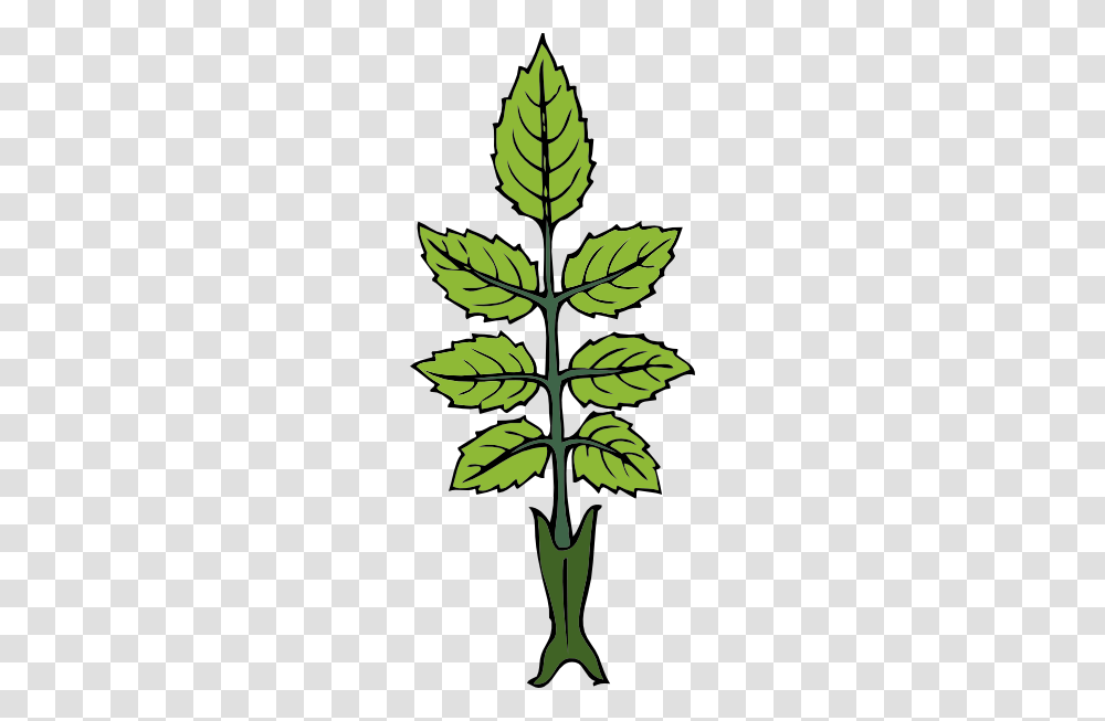 Mint Branch Clip Art, Leaf, Plant, Cross Transparent Png