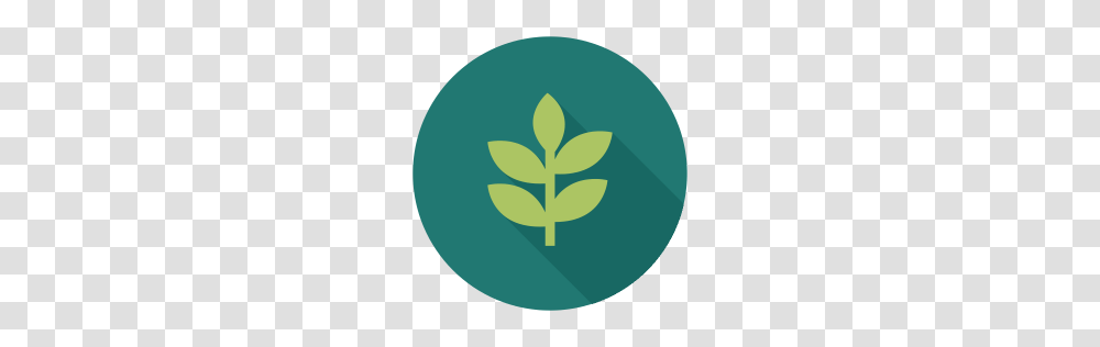 Mint Icon Myiconfinder, Plant, Logo, Trademark Transparent Png