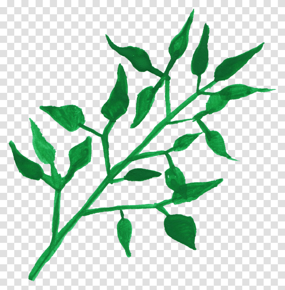 Mint Leaves, Leaf, Plant, Silhouette Transparent Png