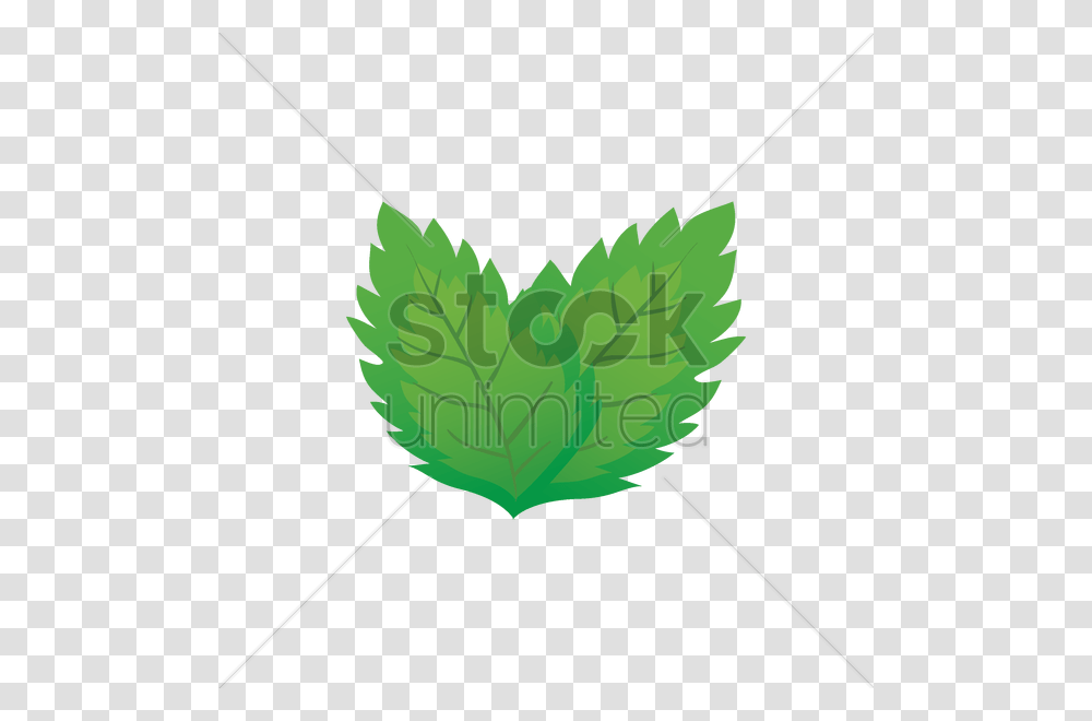 Mint Leaves Vector Image, Green, Bow, Leaf, Plant Transparent Png