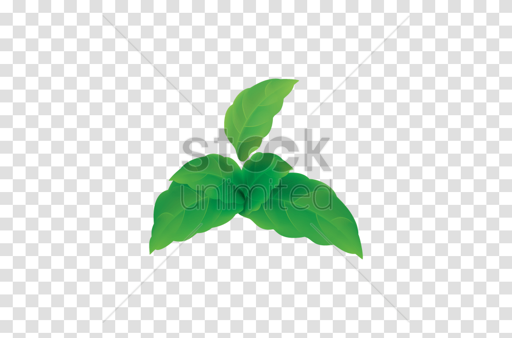 Mint Leaves Vector Image, Leaf, Plant, Bow, Dynamite Transparent Png