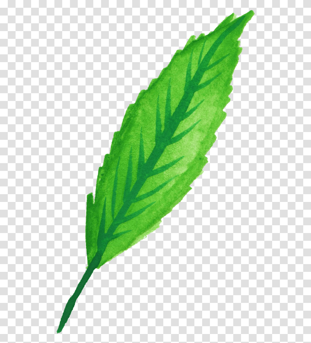 Mint Leaves Watercolor Watercolor Mint, Leaf, Plant, Veins, Vase Transparent Png