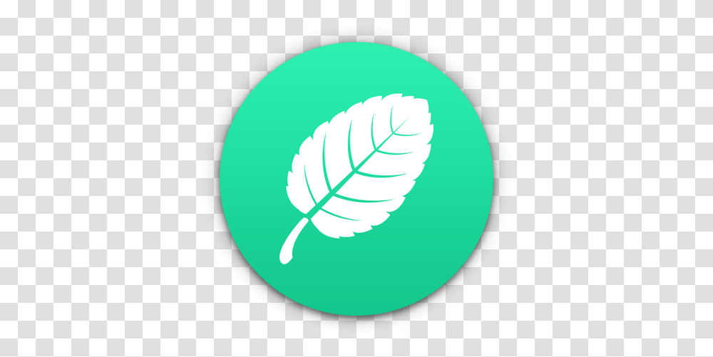 Mint Theme For Rapidweaver Clip Art, Leaf, Plant, Green, Graphics Transparent Png