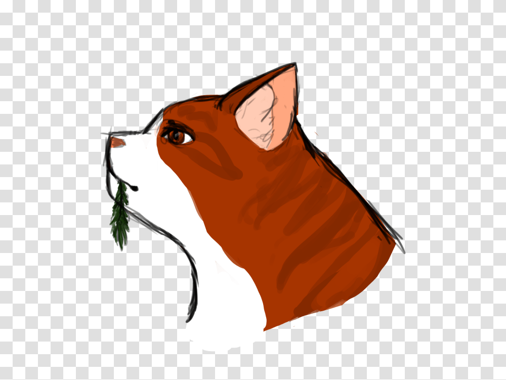 Mintleaf, Fox, Wildlife, Mammal, Animal Transparent Png