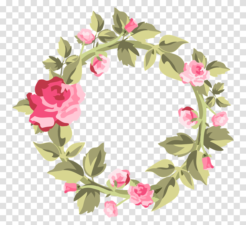 Minus, Plant, Flower, Blossom, Floral Design Transparent Png