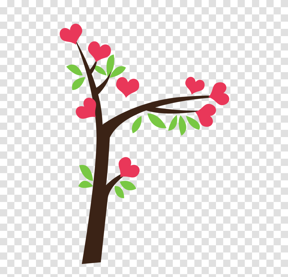 Minus, Plant, Flower, Blossom, Tree Transparent Png