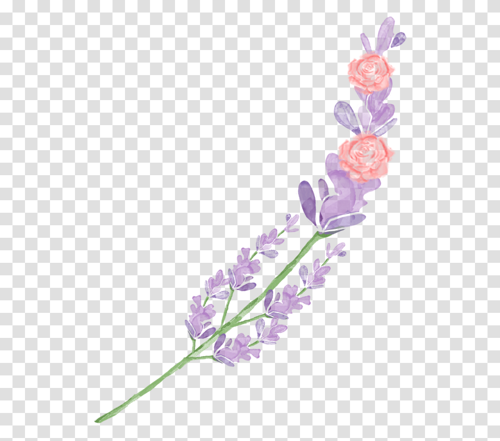 Mira Amp Graphic Watercolor Amp Swirls Example Image English Lavender, Plant, Flower, Purple, Petal Transparent Png