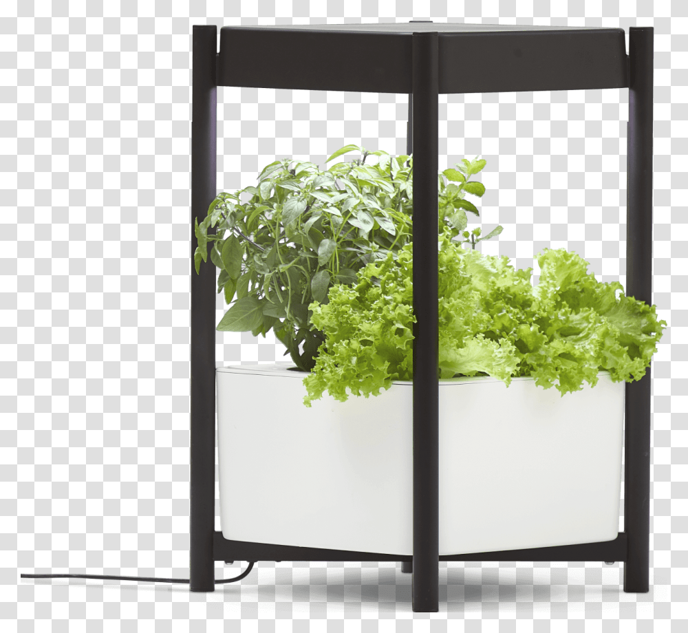 Miracle Gro Twelve Indoor Growing System Miracle Gro Twelve Indoor Growing System, Potted Plant, Vase, Jar, Pottery Transparent Png
