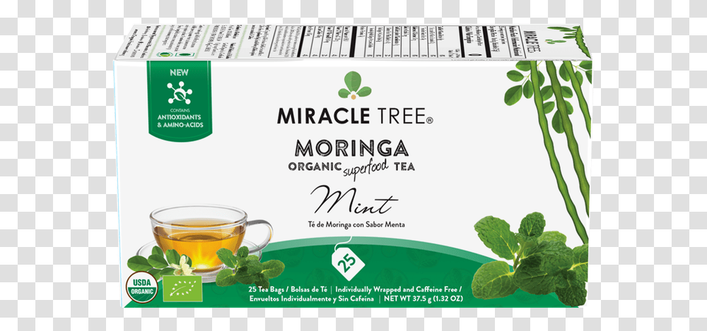 Miracle Tree Moringa Tea Ginger, Vase, Jar, Pottery, Plant Transparent Png