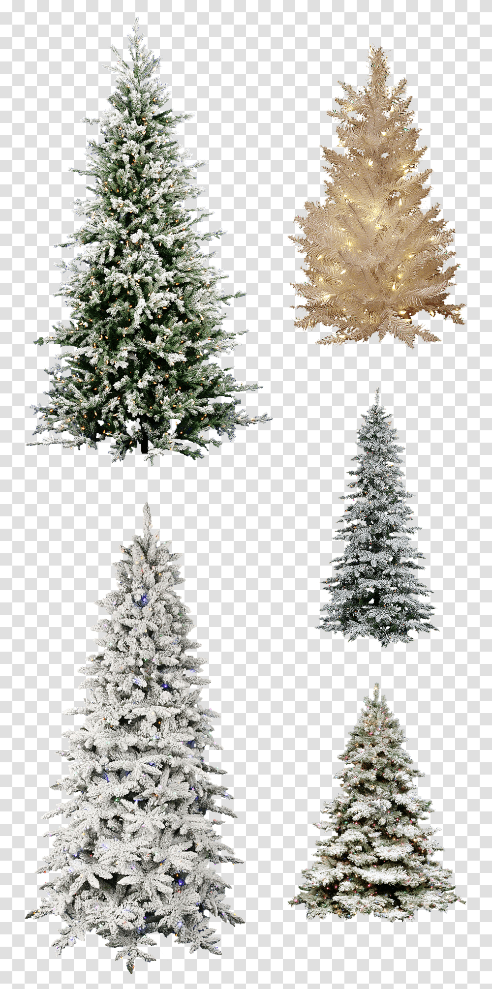 Misc Frosted Christmas Tree Pngs Christmas Tree, Plant, Ornament, Pine, Conifer Transparent Png