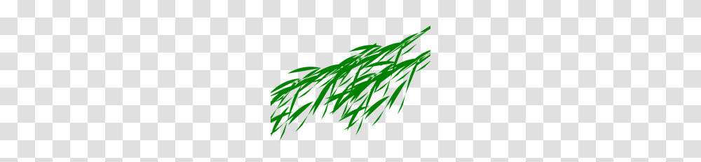 Misc Vector Clipart, Plant, Grass, Vegetation, Green Transparent Png