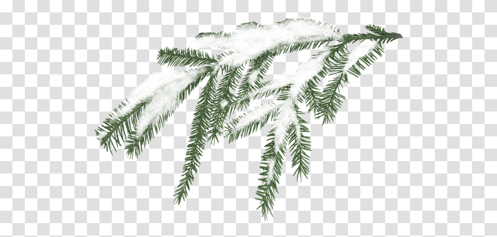 Miscellaneous Winter Greenery Clipart, Nature, Ice, Outdoors, Leaf Transparent Png